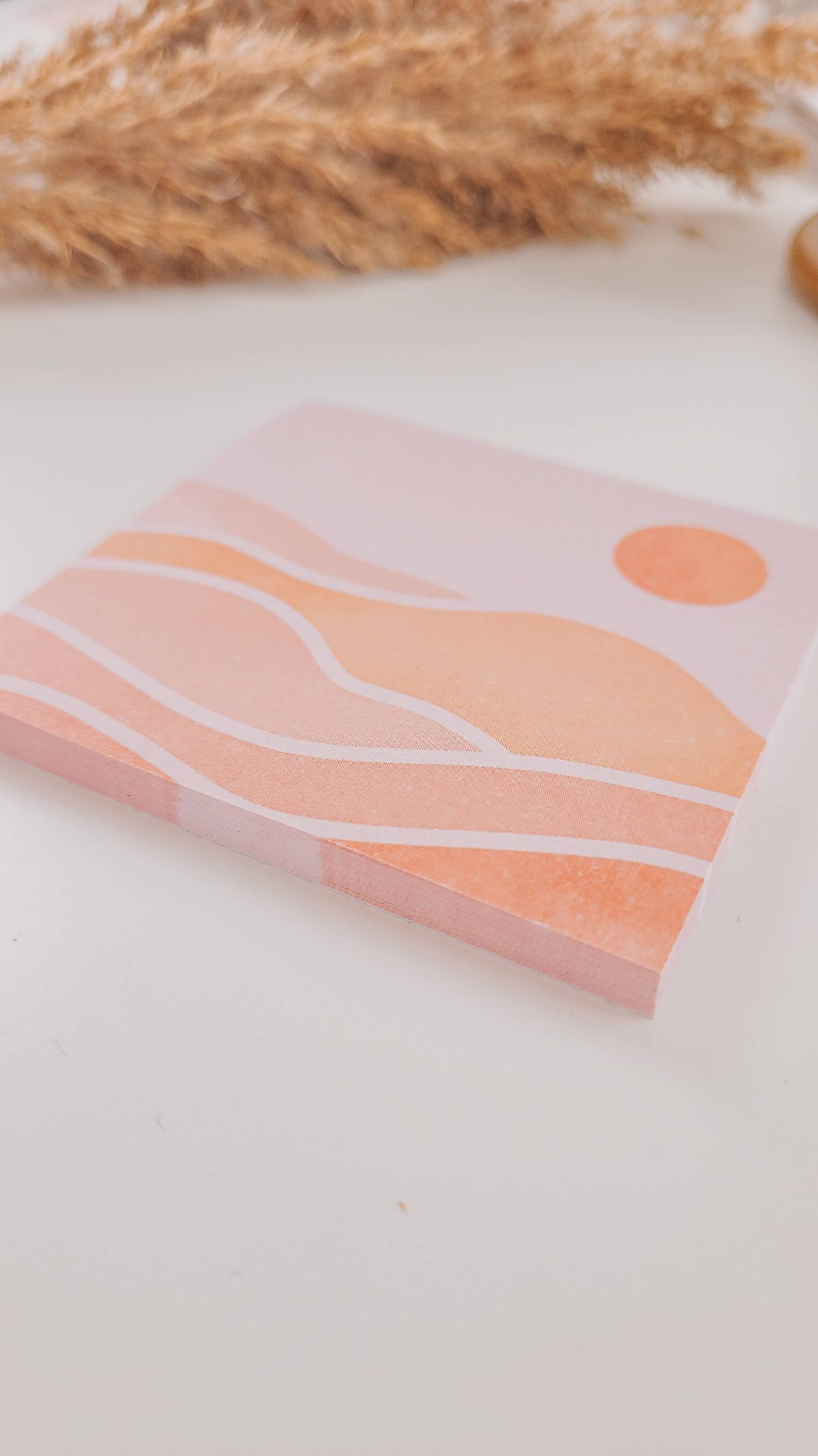 Coucher de soleil – Image 6