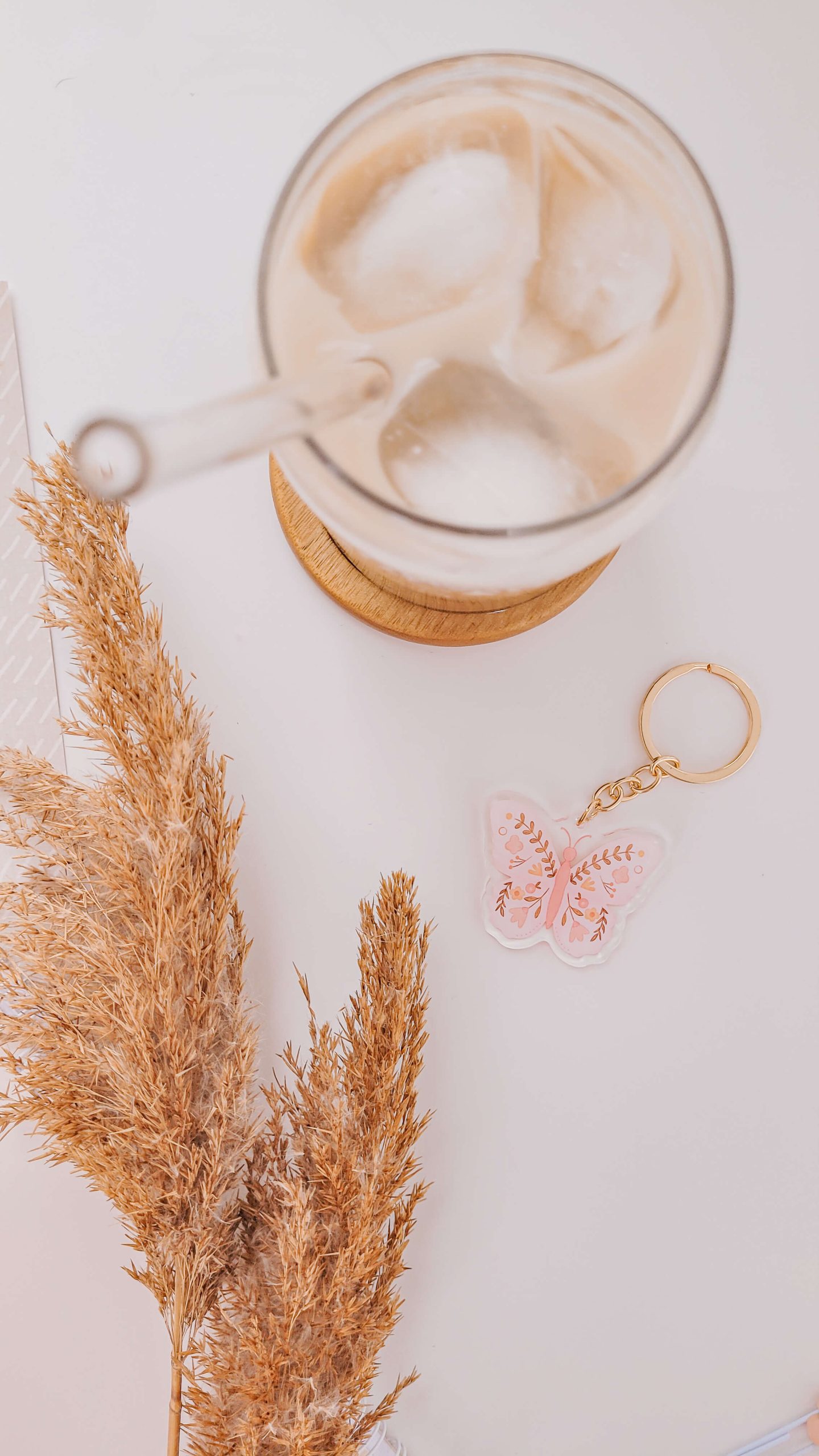 Papillon – Image 3